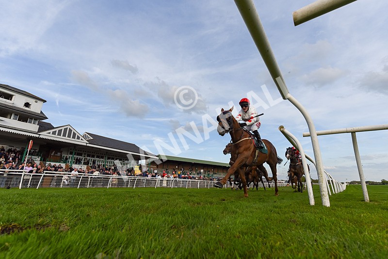 300424-Race 4-Fortunate Star-8392