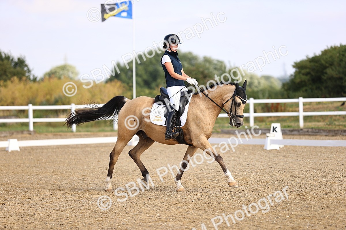 SBM_008540 - Novice 5 - 08.30-9.33