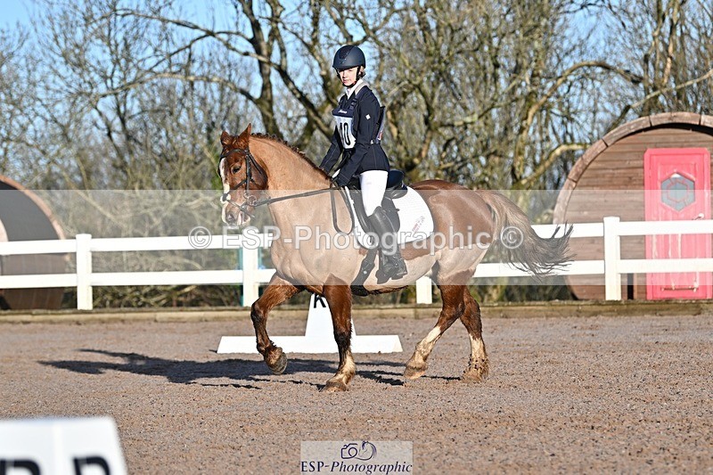 250125-092846-00053 - Dressage - CT Class 1 & 2 Intro 1