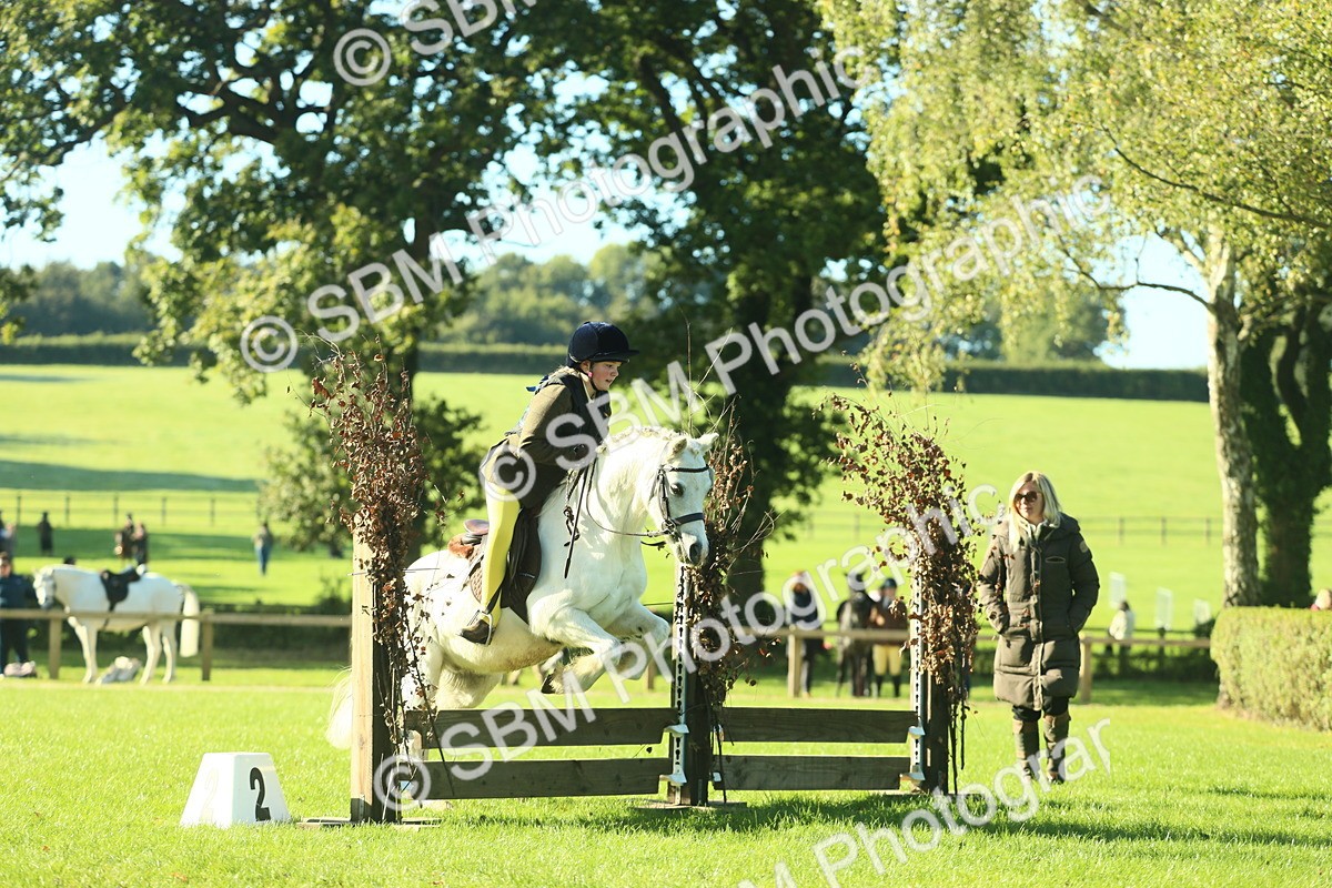 SBM_36297 - S29 - Novice & Newcomers Working Hunter Pony