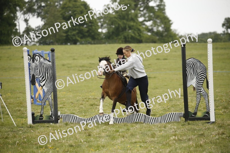 20250517-0138 - Class 1 - 30cm On Lead Rein
