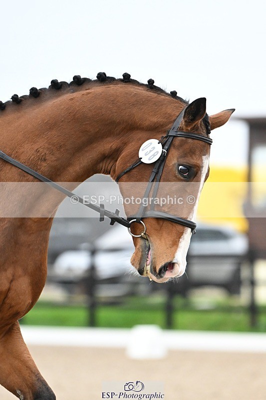 241103-092134-00157 - Intro 3 - 8.30 to 9.30