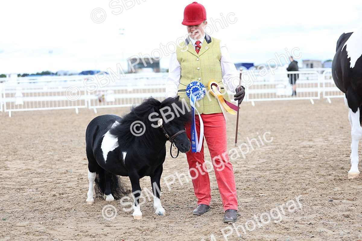 SBM_00327 - Class 15 - IH Coloured