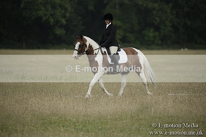 B230619-0209 - Bourne Valley Riding Club Summer Show 23/06/19