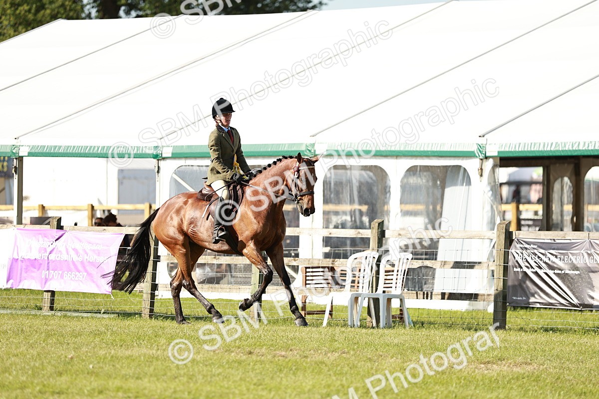 SBM_19344 - Class 115-116 - LIHS BSHA Rising Star Working Hunter & Show Horse