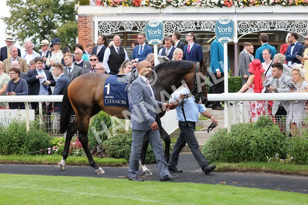 yr20082021r4-69 - Race 4 3.35pm Coolmore Wootton Bassett Nunthorpe Stakes (British Champions Series Race)