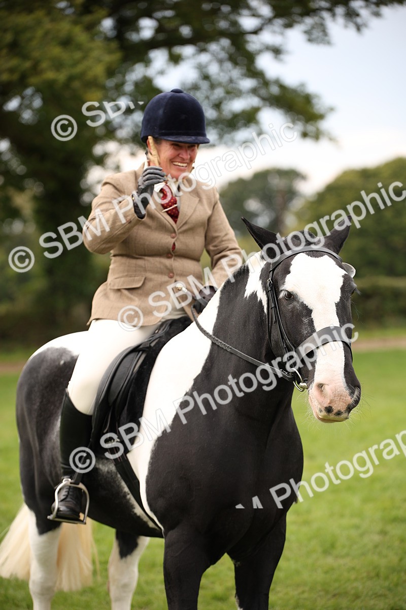 SBM_72400 - S67 - Show Cob Ridden