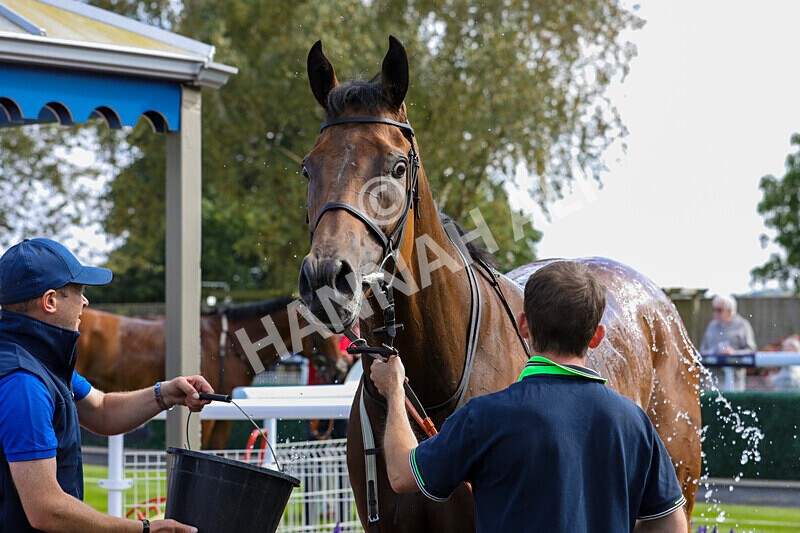 310824-Race 4-Spirit Of Applause-1629 - Race 4