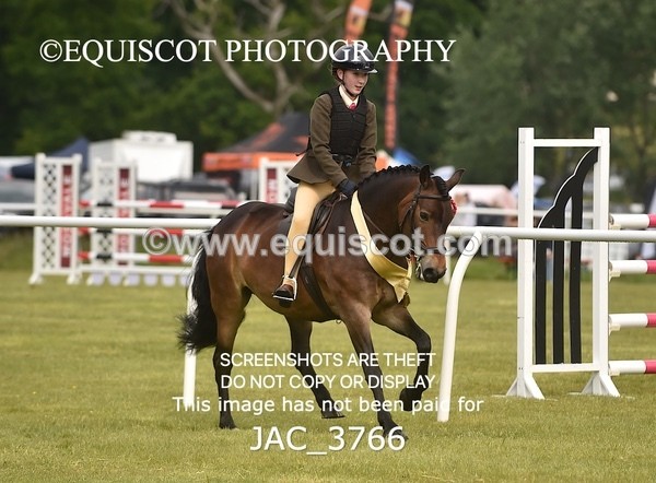 JAC_3766 - 75CM WORKING HUNTER