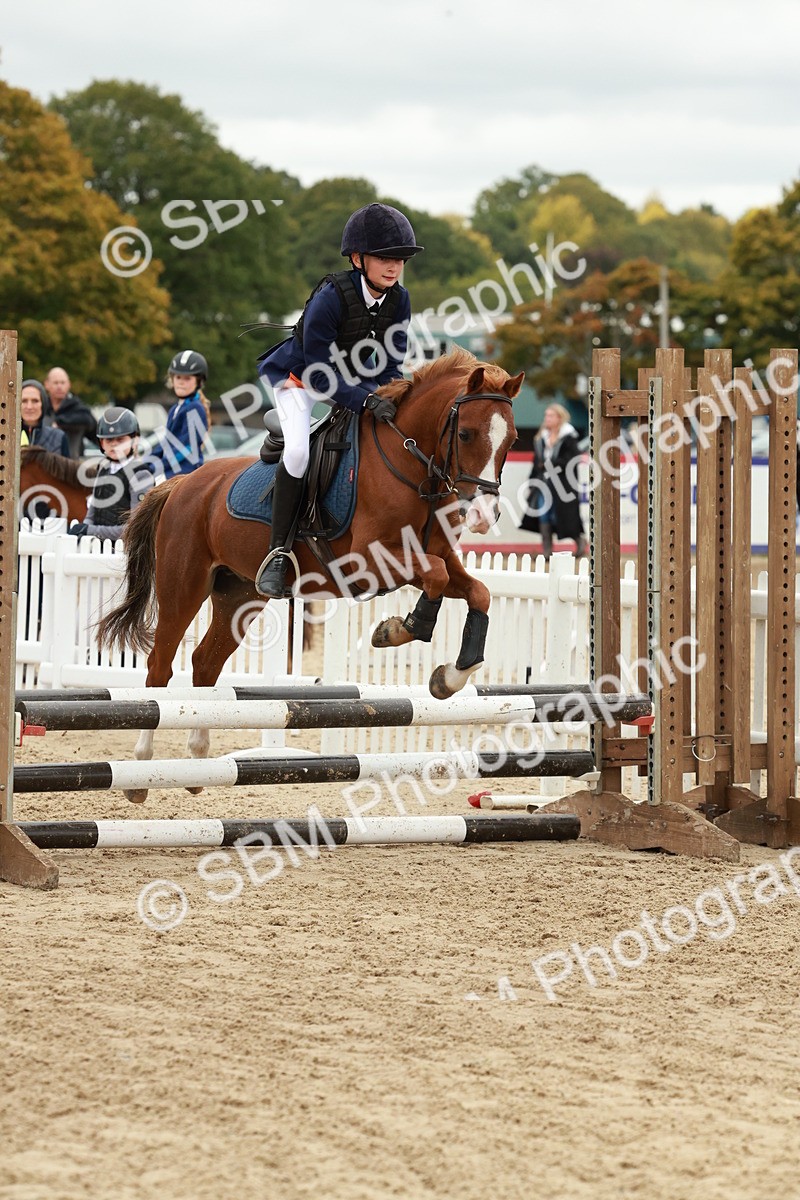 SBM_67185 - J13 - Junior Pony 60cm Championship