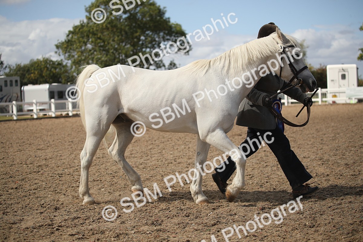 SBM_23595 - Class 605 - 2026 - Area - IH Veteran