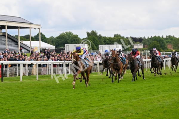 140624-Race 5-Ron O-4837 - Race 5 4.10pm Juddmonte EBF Fillies Restricted Novice Stakes