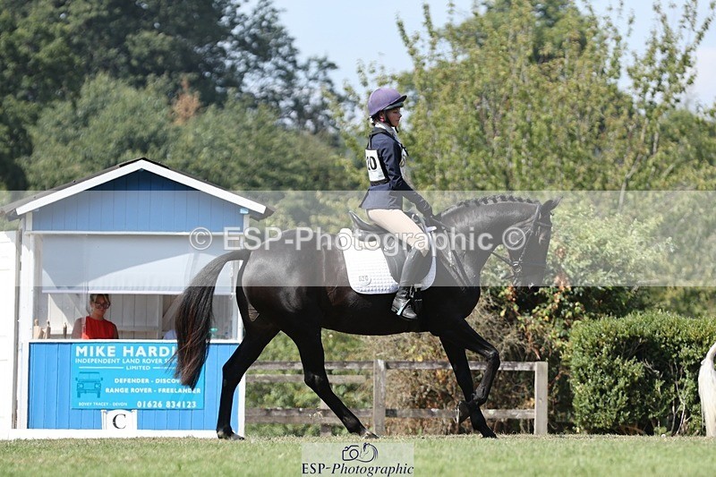 250823A-122447-29499 - Arena D