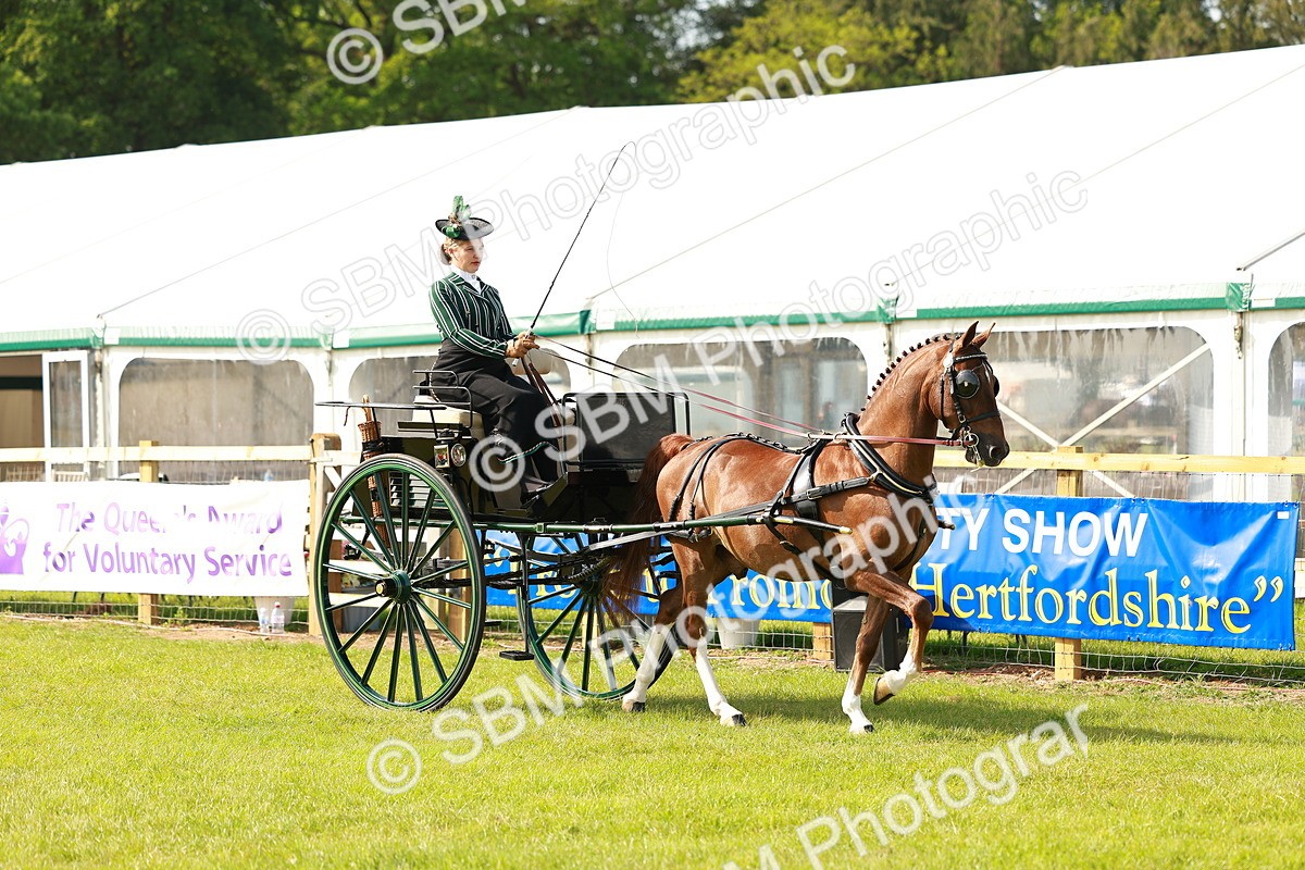 SBM_01141 - Class 2-4 - HOYS Private Driving