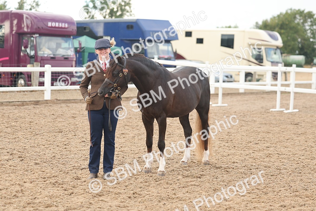 SBM_08509 - Class 29 - IH Veteran Pony