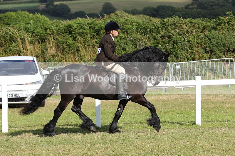 1X9A5948 - Class 42: NPS Dales, Fell, Highland