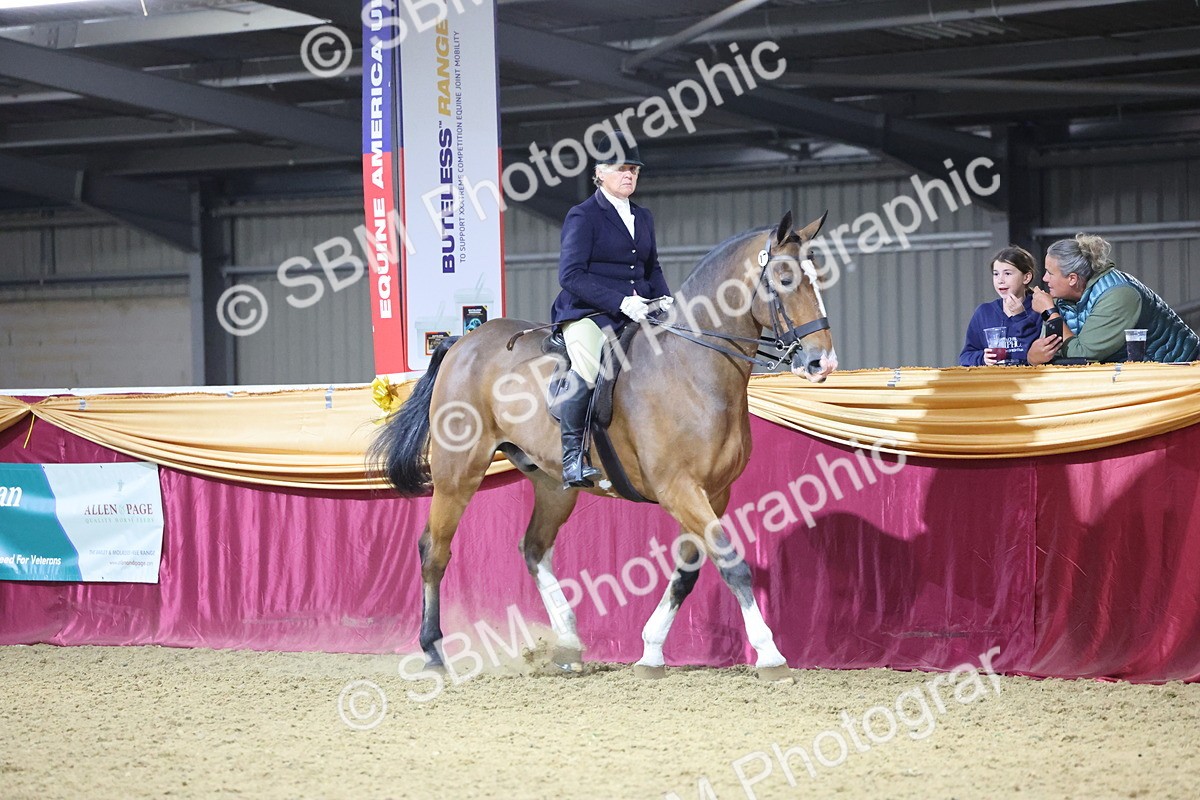 0B8A4480 - Class O Ridden Show Horse Champ