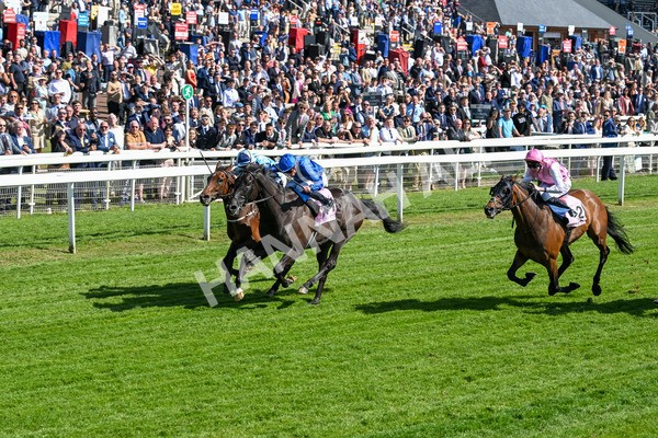 160525-Race 4-Rebels Romance-6709 - Race 4 3.45pm Boodles Yorkshire Cup Stakes