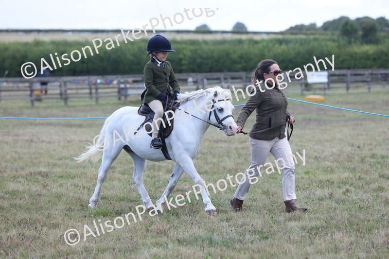 20250831-2382 - Class 16 - Family Pony