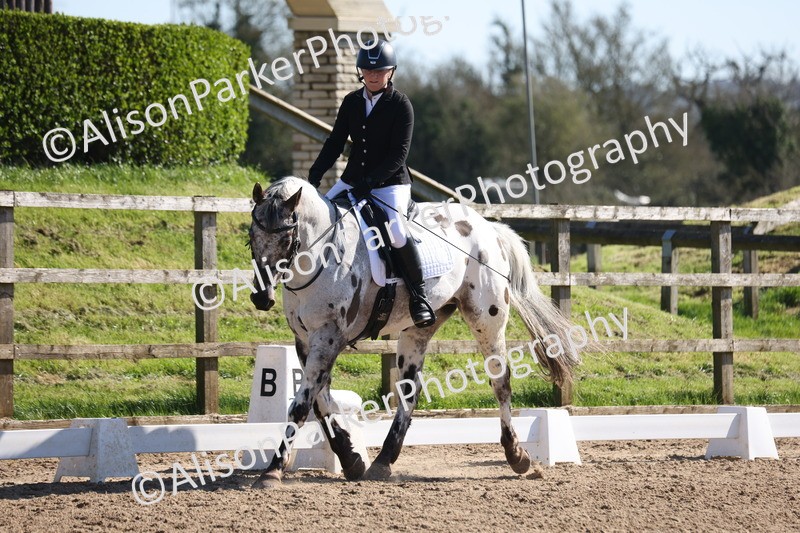 20260318-0467 - Class 5 - Novice 2