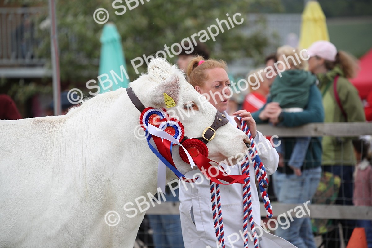 SBM_07827 - Grand Parade