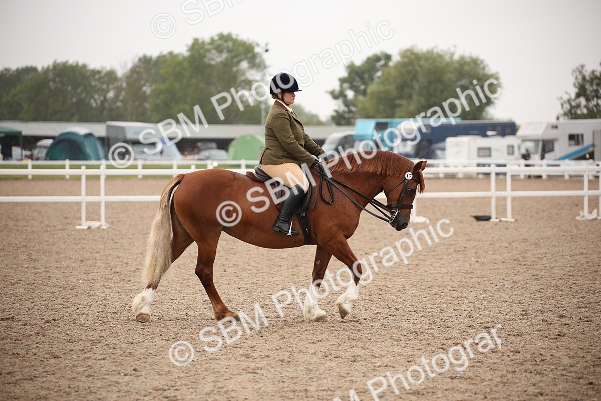 SBM_19276 - Class 701 - Best Turned Out IH & Ridden