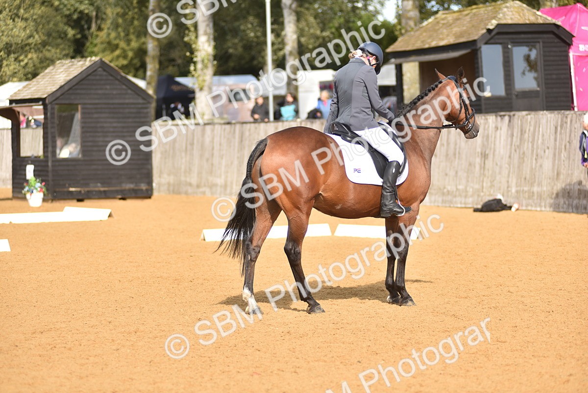 SBM_24224 - D4 - Small Tour Championship Intro 4