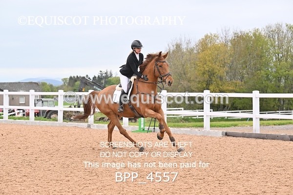 BPP_4557 - CLASS 20 SUN British Novice/90cms Open