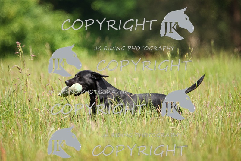 2R6A8357 - 8 Timothy