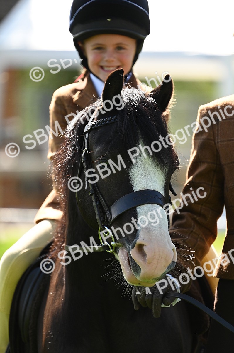SBM_02826 - S3 - TSR Ridden Pony Showing
