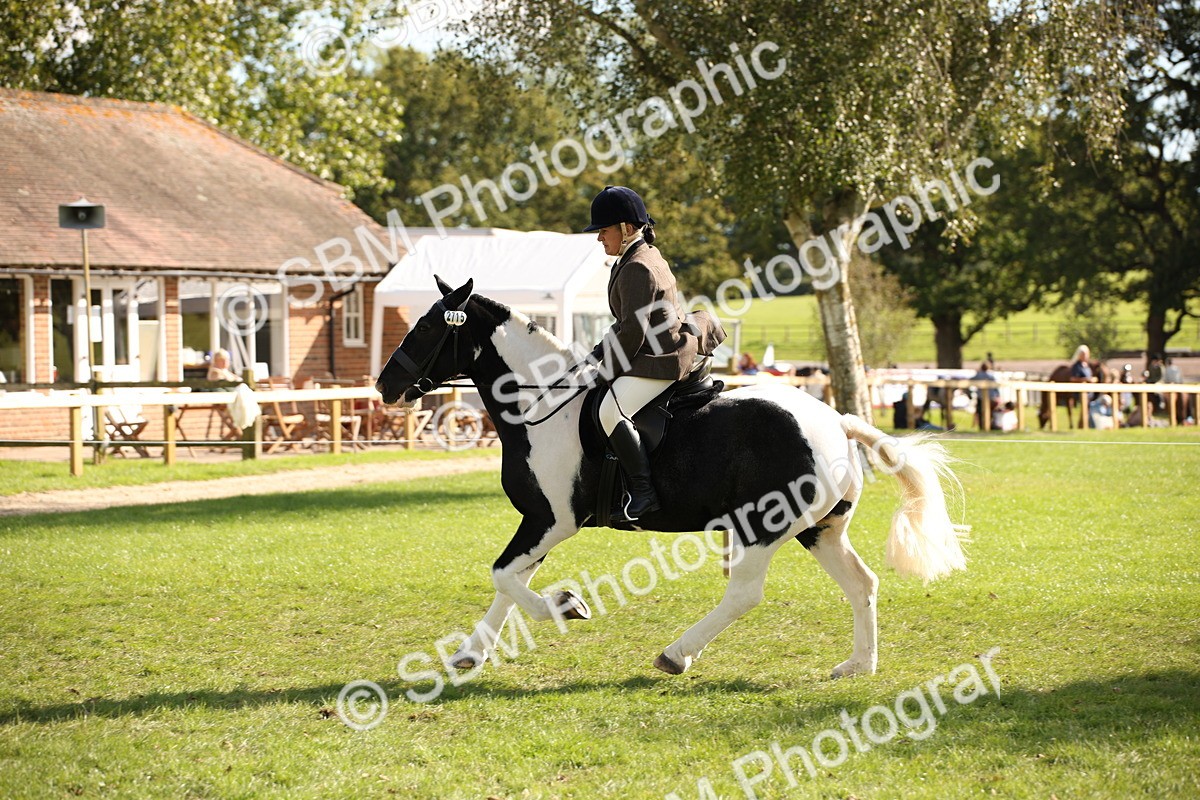 SBM_50075 - S26 - Young Veteran - Ridden