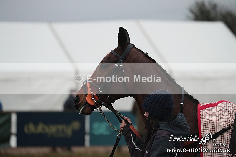 PtP 260125 957 - Cocklebarrow Point-to-Point racing with the Heythrop Hunt 26/01/25