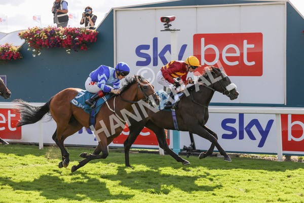 240824-Race 6-Tropical Storm-9215 - Race 6 4.45pm Julia Graves Roses Stakes