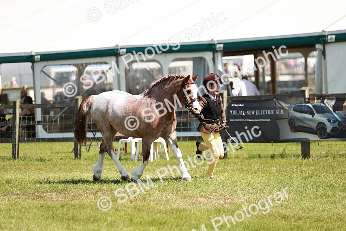 SBM_13532 - Class 108-109 - BSPS LIHS Open Gradle & Nursery Stakes
