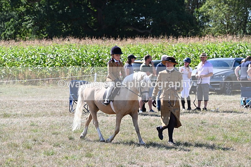 WJ6_8043 - Class 36 Lead Rein