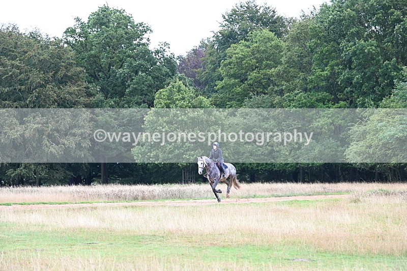 DSC_3687 - Time at Statue 13:51 to 14:55