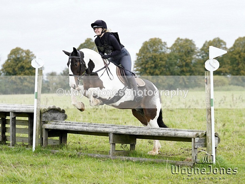 _DSC8220 - Edited examples