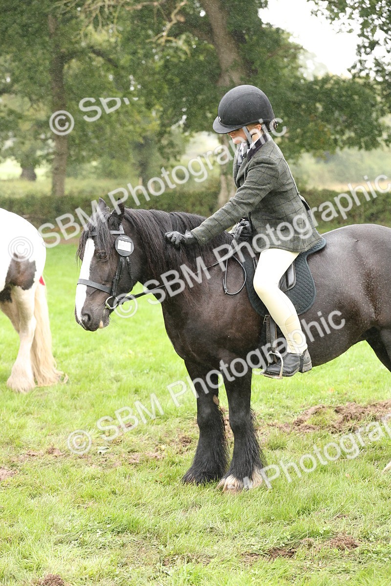 SBM_72811 - S70 - Traditional Cob Ridden