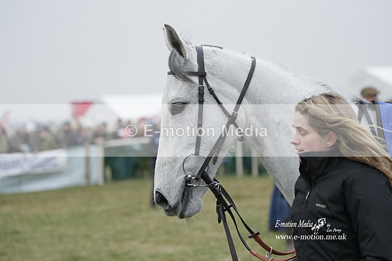 PtP 040323 508 - Duke of Beauforts Hunt Point-to-Point Didmarton 04/03/23