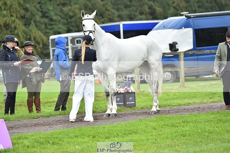 231018-125112-00567 - 072-CARROW.IROKO-Alice.England-TrotUp