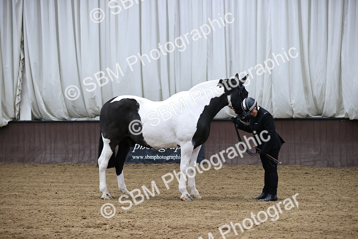 SBM_5252 - Class 32 - In Hand Cob Type