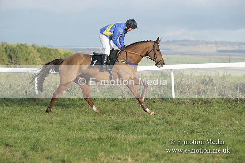 PtP 011219-0398 - Hursley Hambledon Hunt Point-to-Point 01/12/19