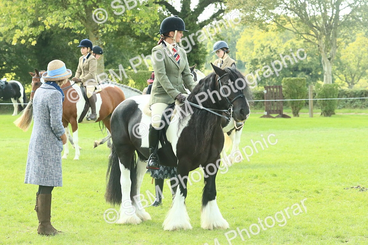 SBM_67562 - S56 - Coloured Pony Ridden