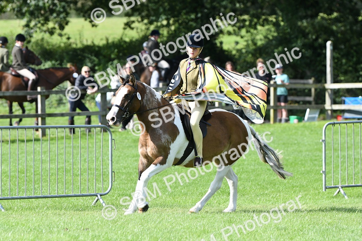 SBM_47103 - S12 - Family Horse & Pony