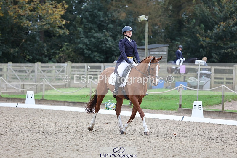 241024-141552-03806 - 160-Gaby.Bull-MILESTONE.GOLD