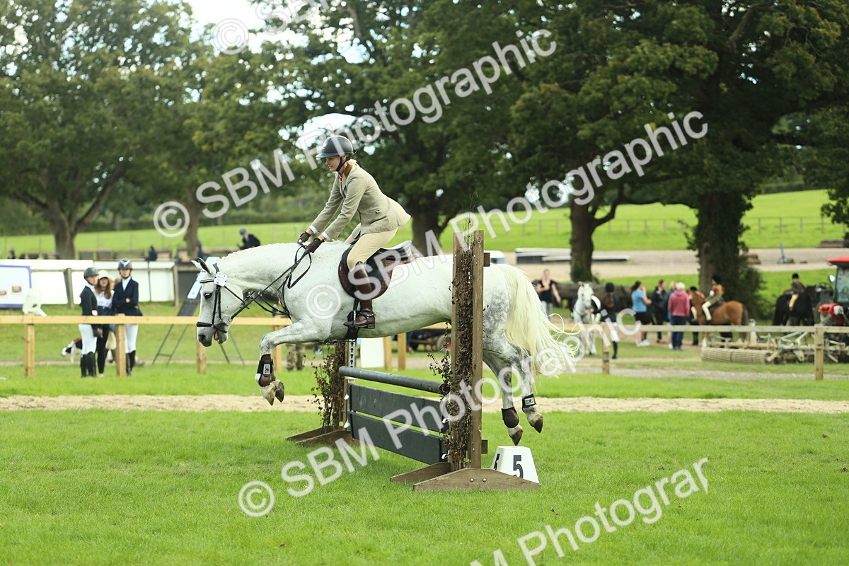 SBM_47985 - S32 - Novice & Newcomers Working Hunter