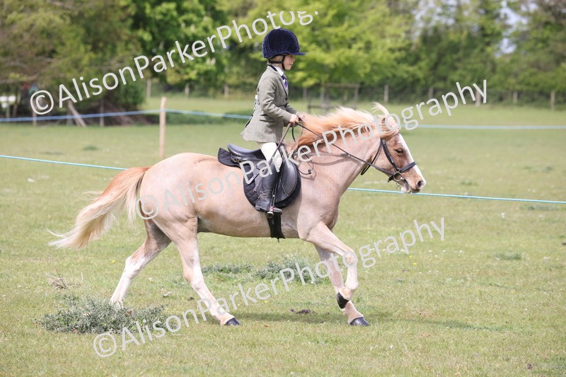 20260426-2984 - Class 33 - Best Pony 14.2hh and Under