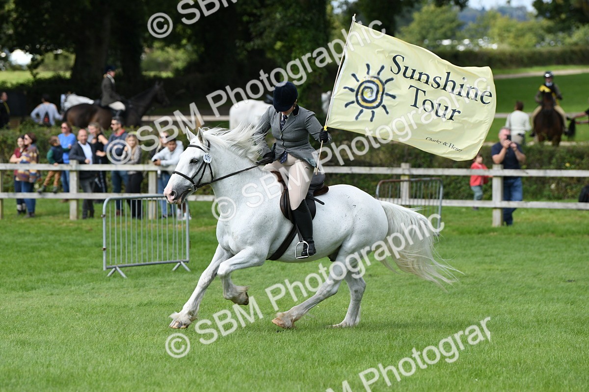 SBM_46906 - S12 - Family Horse & Pony