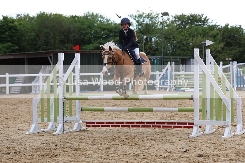 3E7A8497 - Class 13: Pony Discovery/90cm open