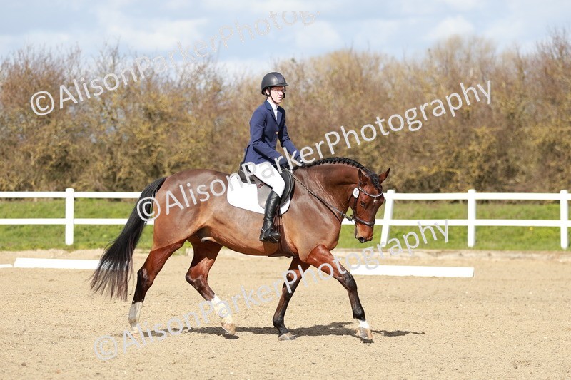 20260314-3015 - DR3 - Prelim 1